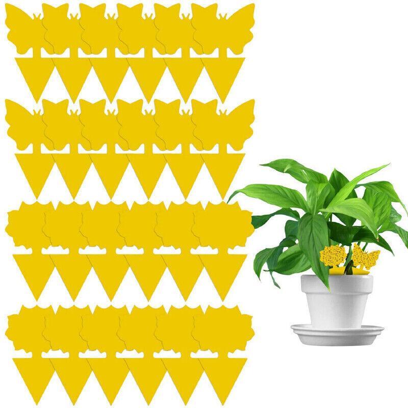10X Dual Sided Sticky Trap Insect Killer Whitefly Thrip Fruit Fly Gnat - Butterfly 20PCS