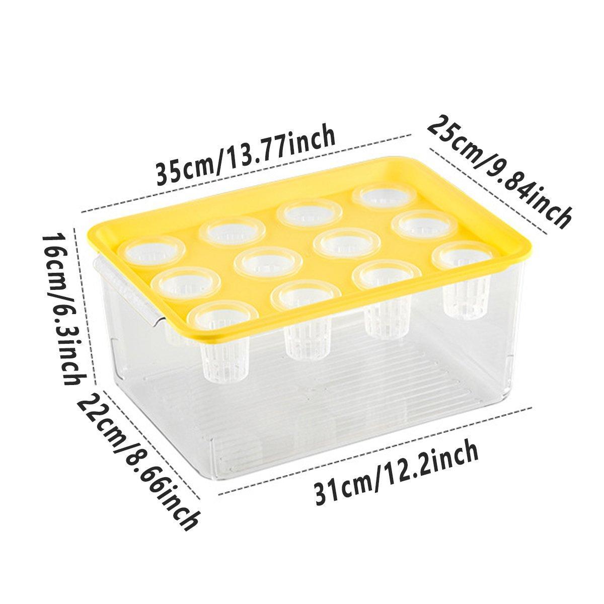 Transparent Rectangular Aquarium 12Hole Lid Portable Hydroponic Plant Fish Tank - Green