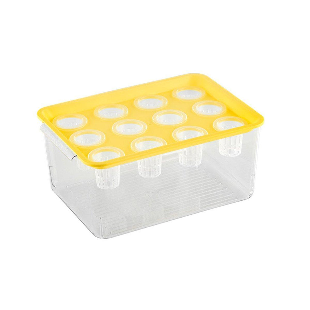 Transparent Rectangular Aquarium 12Hole Lid Portable Hydroponic Plant Fish Tank - Green