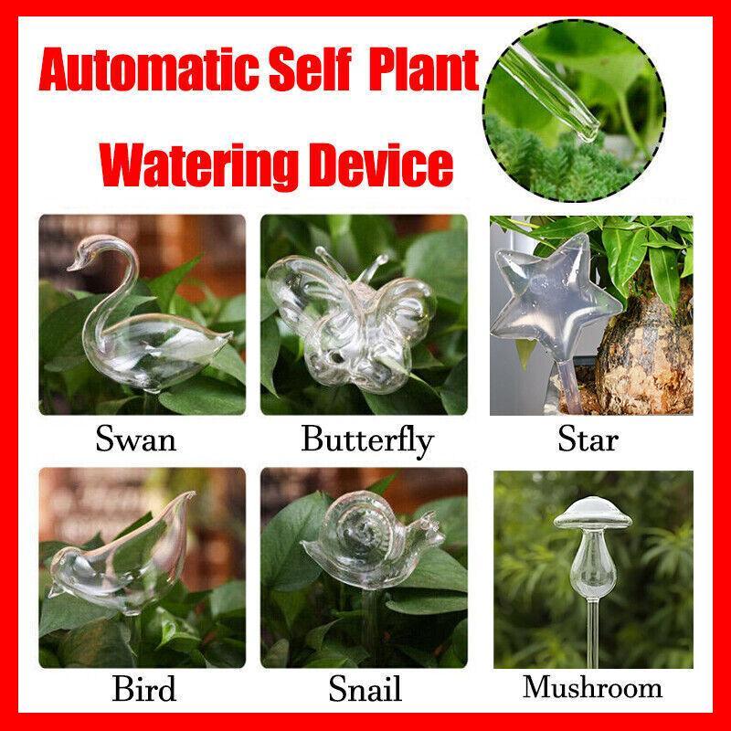 Automatic Self Plant Watering Glass Bulbs Water Feeder Indoor Irrigation Outdoor - Birdie