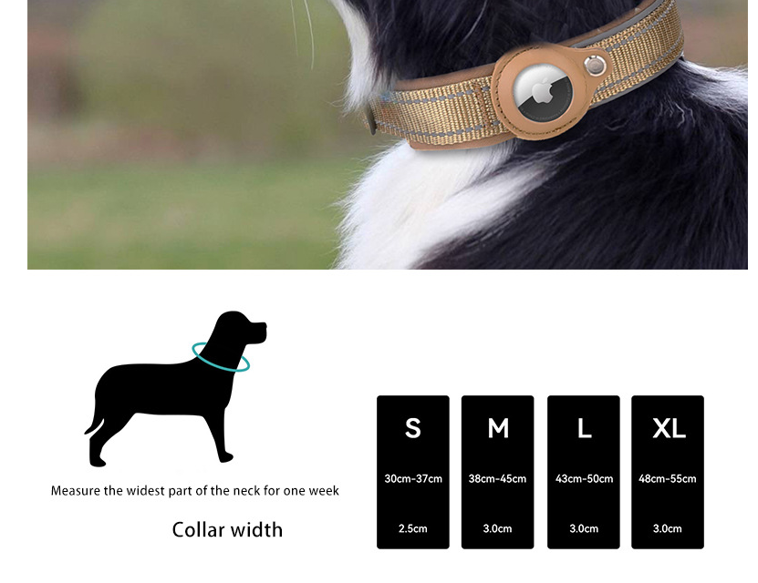 M Blue-green Secure Nylon Dog Collar with Built-in Apple AirTag (not included) Holder Case - Pet Tracker Accessory