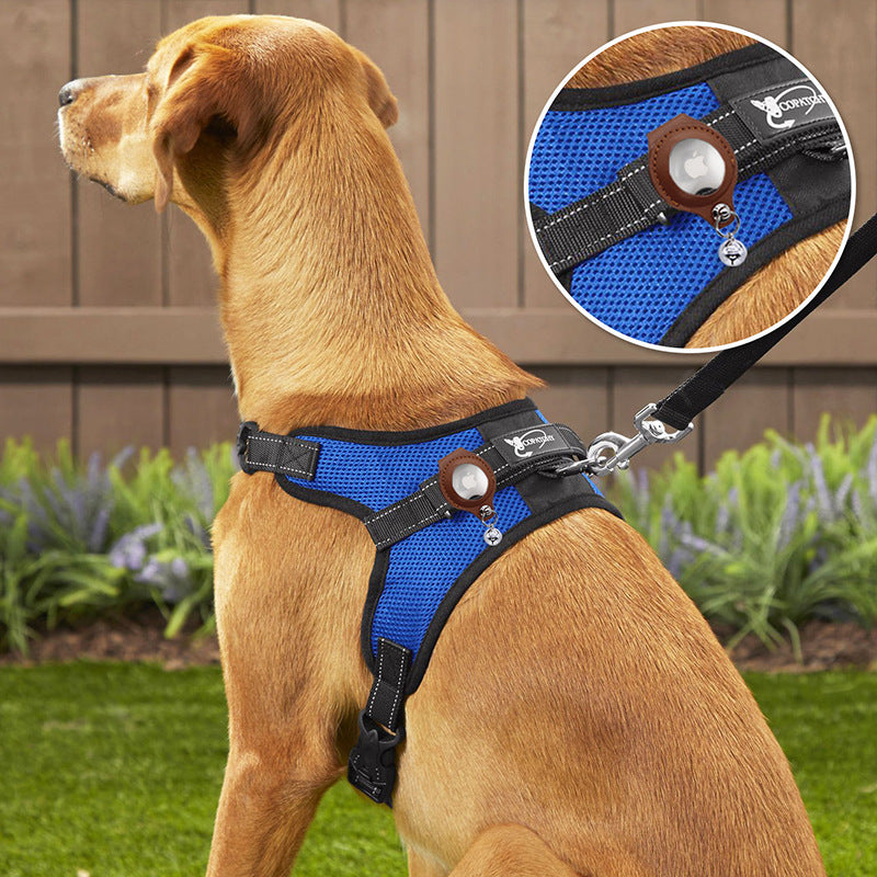 M Blue-green Secure Nylon Dog Collar with Built-in Apple AirTag (not included) Holder Case - Pet Tracker Accessory