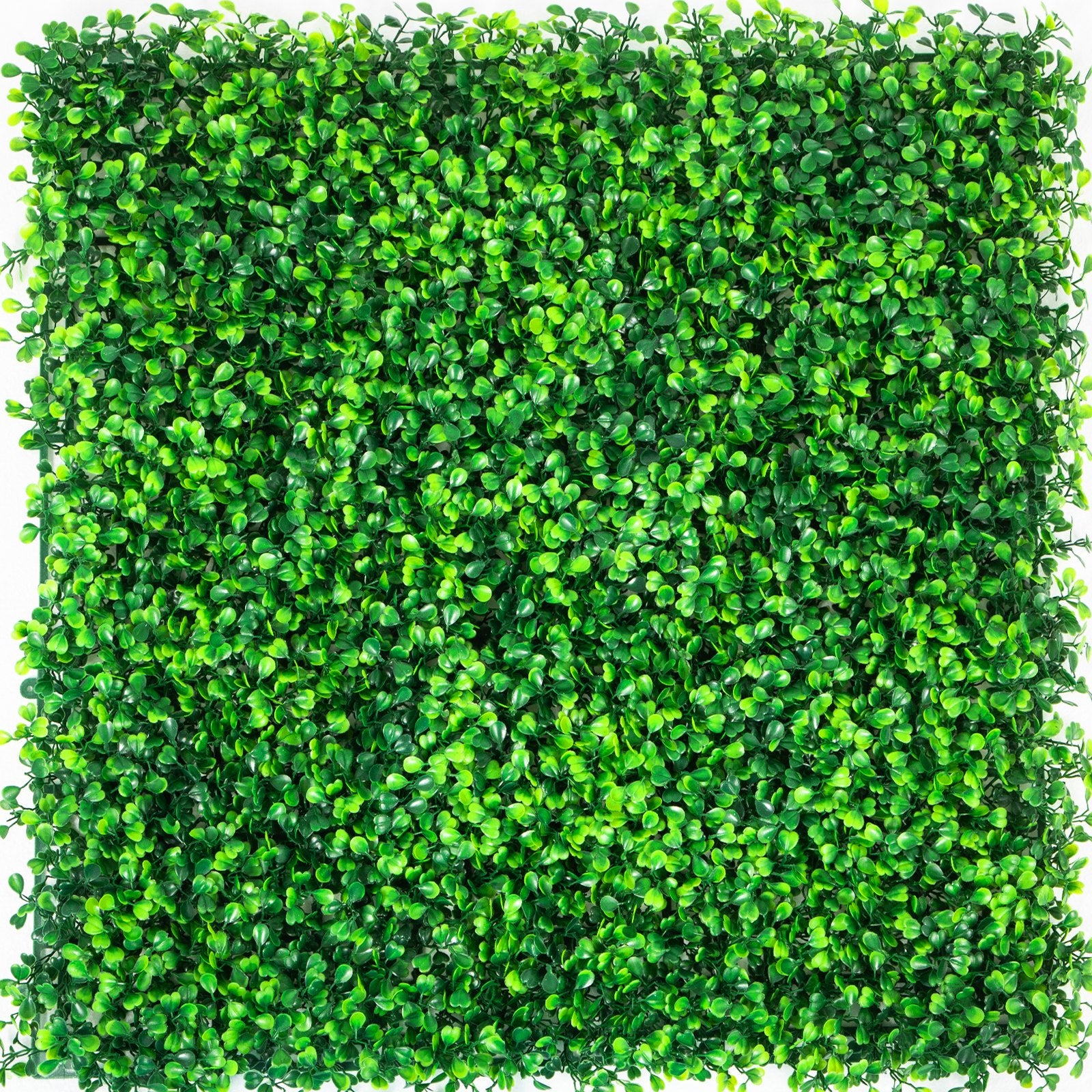 VEVOR Artificial Boxwood Panels, 12 PCS 20"x20" Boxwood Hedge Wall Panels, PE Artificial Grass Backdrop Wall 1.6\", Privacy Hedge Screen for Decoration of Outdoor, Indoor, Garden, Fence, and Backyar