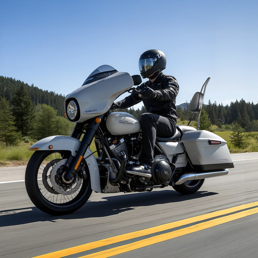 VEVOR Motorcycle Backrest Sissy Bar, Compatible With Harley-Davidson Dyna Street Glide Road Glide Road King, 730mm Height Detachable Passenger Backrest, For Motorcycles, Black