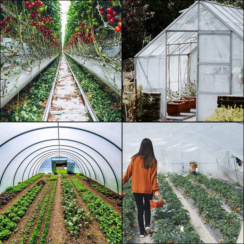VEVOR Greenhouse Film, Greenhouse Polyethylene Film 20x28 ft Greenhouse Plastic