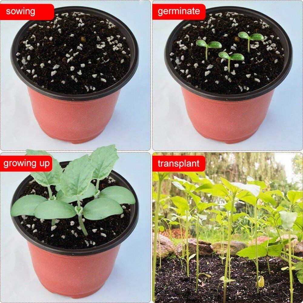 50/100Pcs Plastic Plant Flower Pots Nursery Seedlings Garden Plant Pot AU
