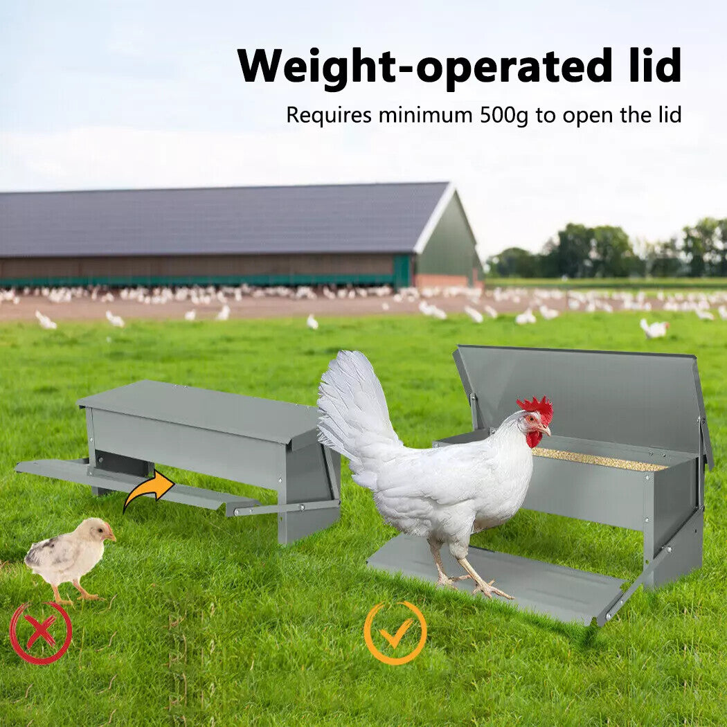 Automatic Chicken Feeder Chook Food Feeder Capacity Treadle Self Opening Pou