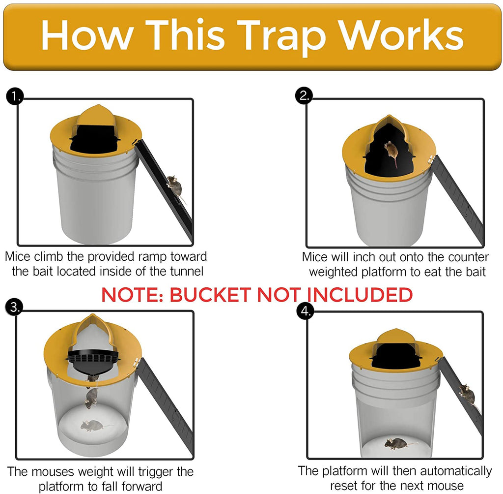 Flip N Slide Mouse Trap