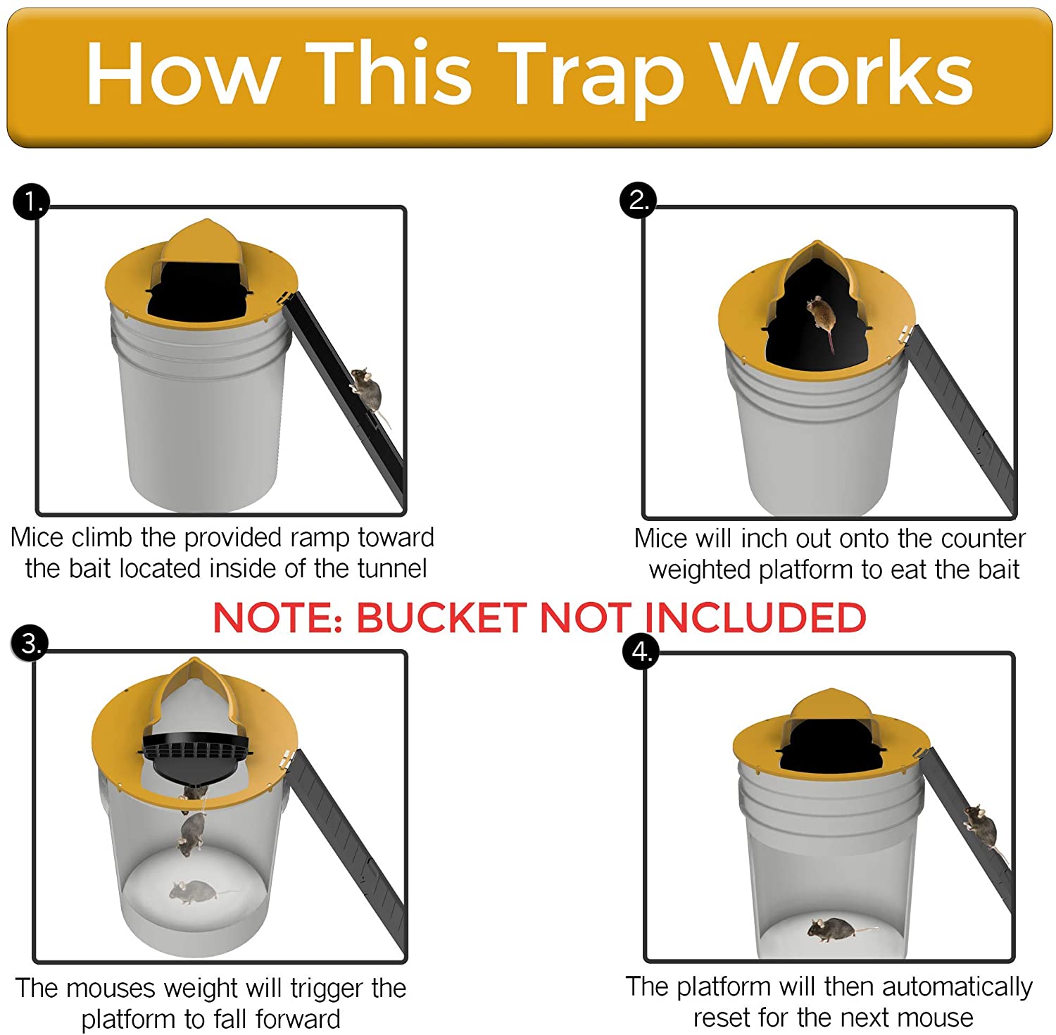 Flip N Slide Mouse Trap