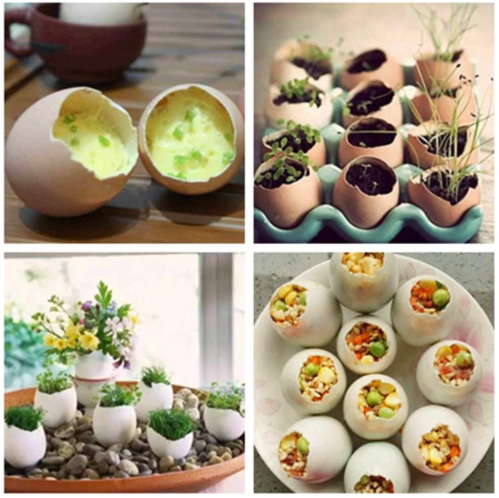 New Practical Stainless Steel Egg Shell Opener