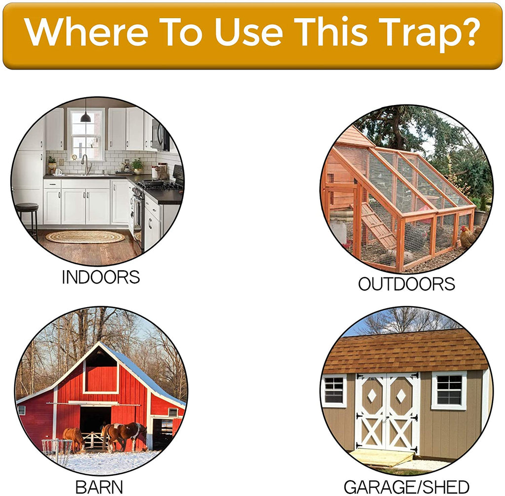 Flip N Slide Mouse Trap