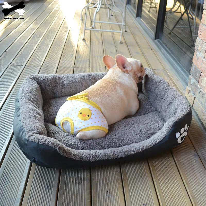 Dog Bed