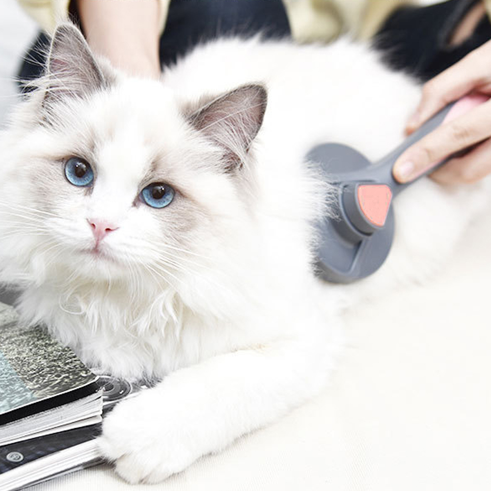 Self-Cleaning Pet Grooming Slicker Brush