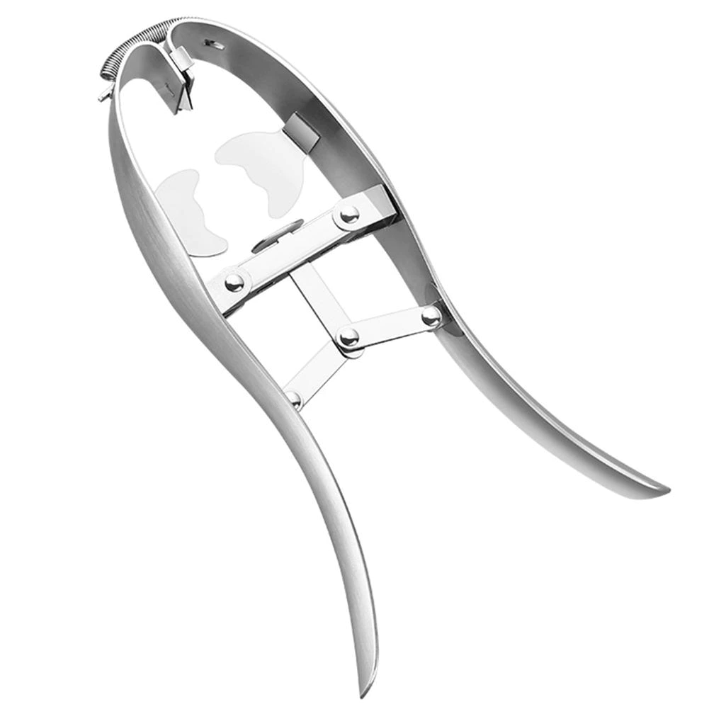 Stainless Steel Egg Scissors Eggshell Cutter