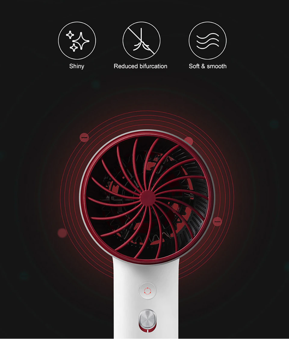 Professional Negative Ion Hair Dryer