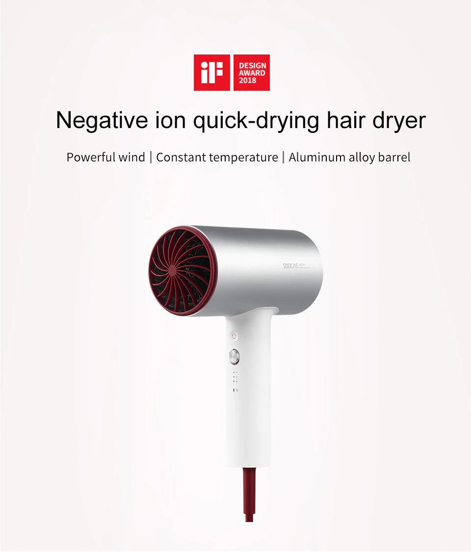 Professional Negative Ion Hair Dryer
