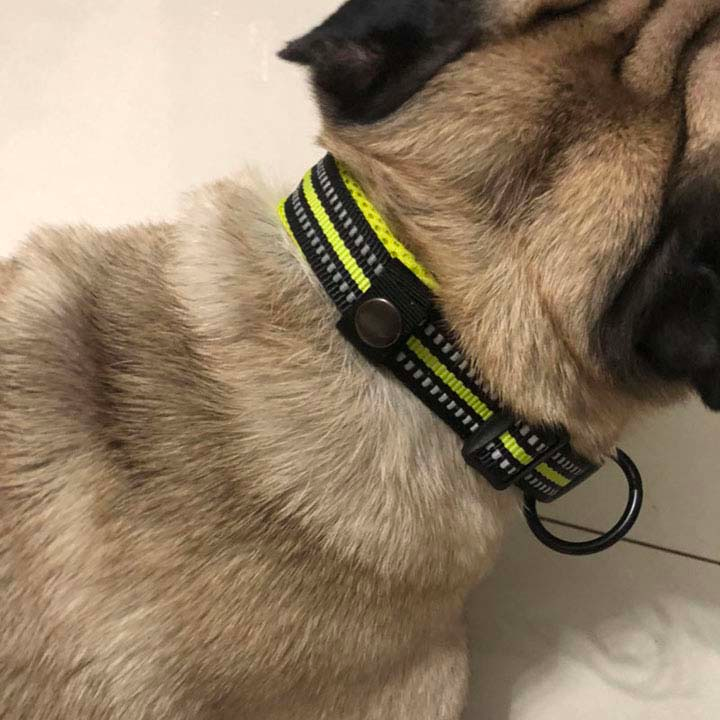 Soft Padded Adjustable Dog Collars