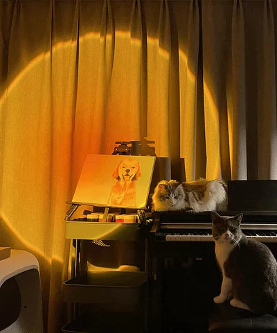 Sunset Projection Ambience Lamp