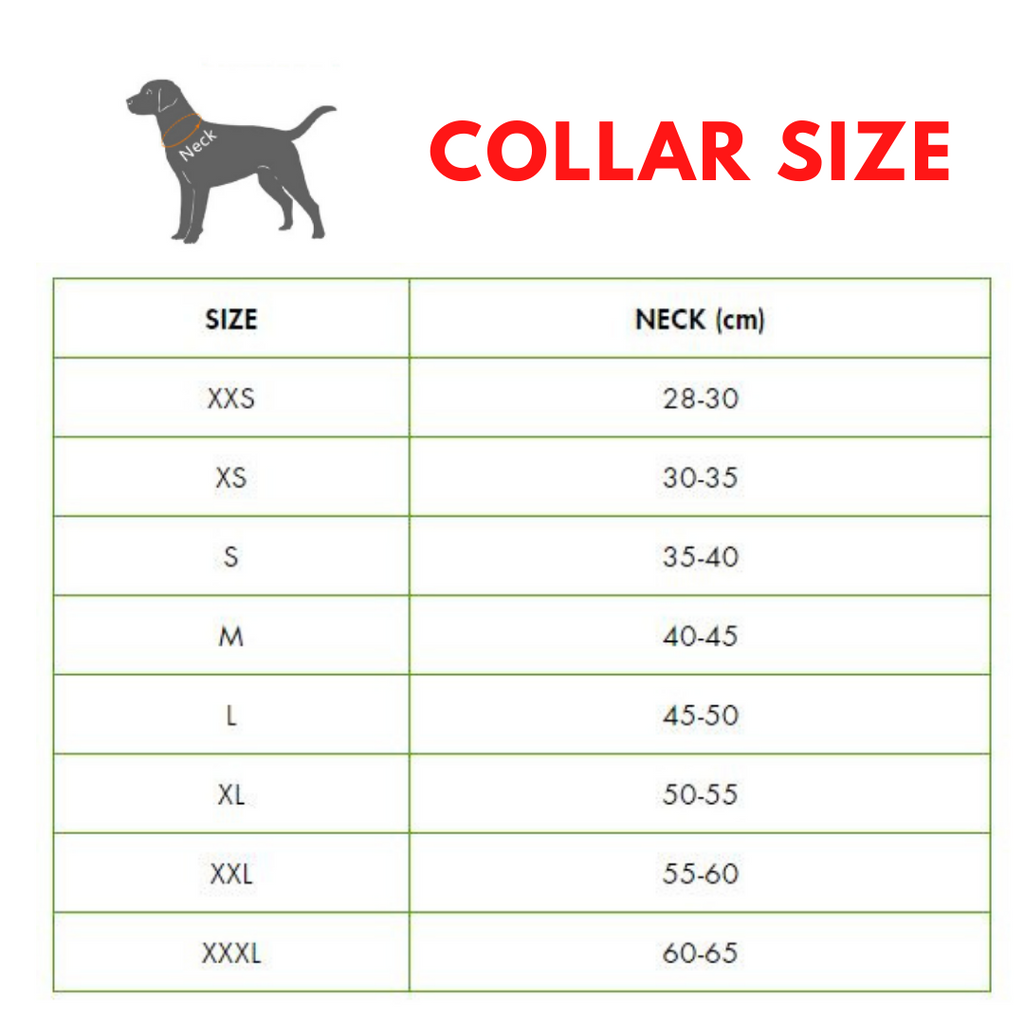 Soft Padded Adjustable Dog Collars