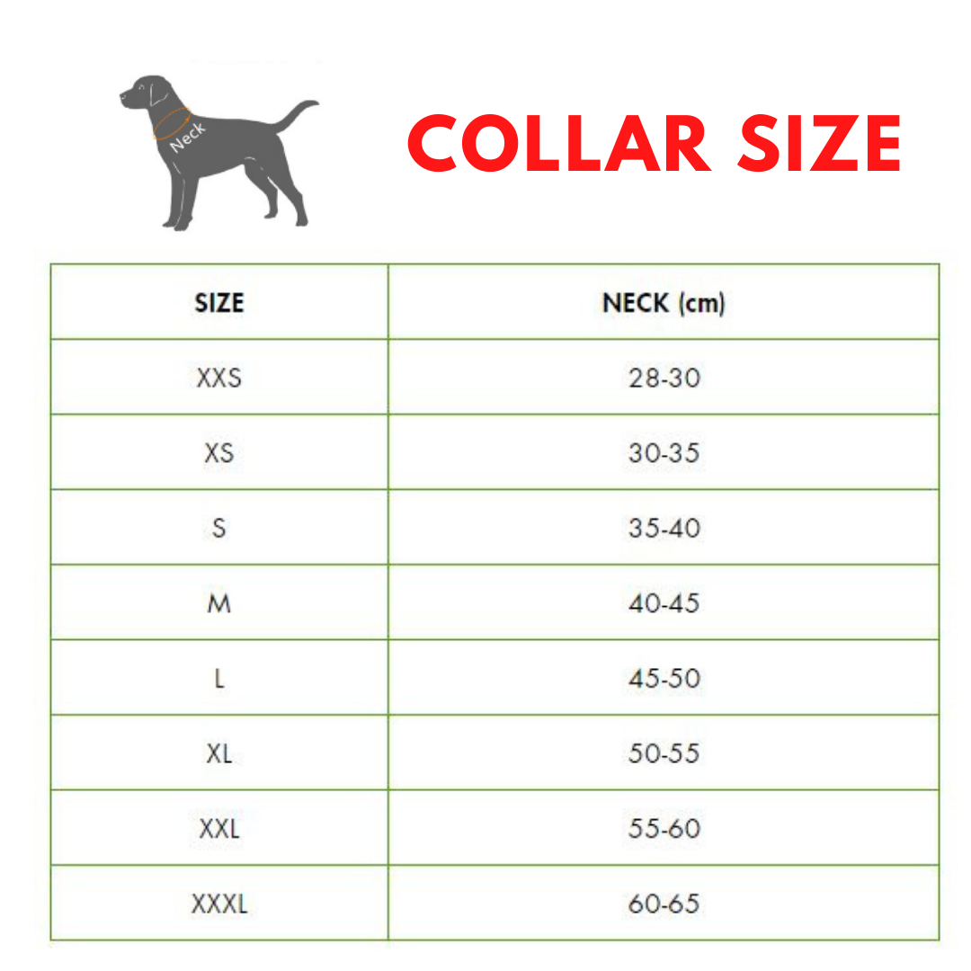 Soft Padded Adjustable Dog Collars