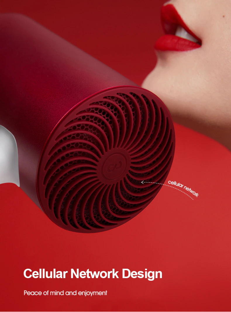 Professional Negative Ion Hair Dryer