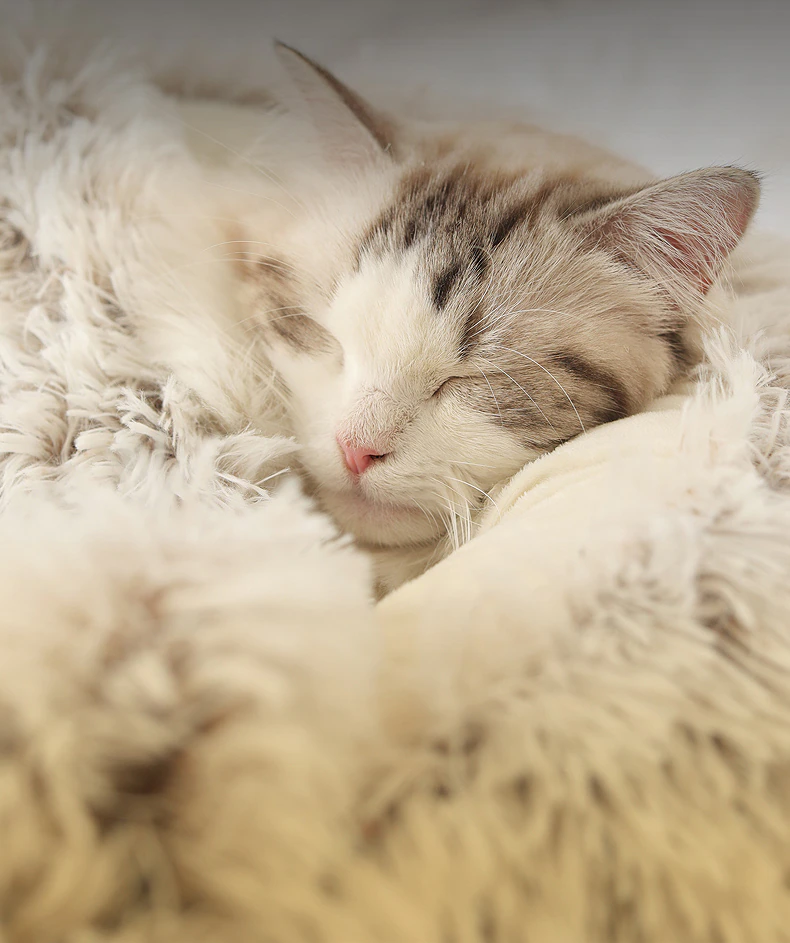 Pet Warm Sleeping Cushion Mat