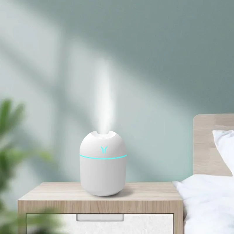 Mini Essential Oil Diffuser & Humidifier