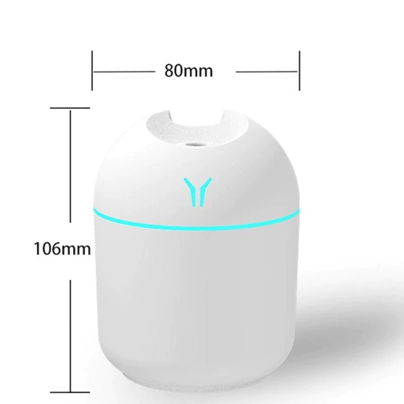 Mini Essential Oil Diffuser & Humidifier