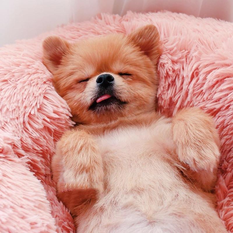 Comfortable Pet Bed