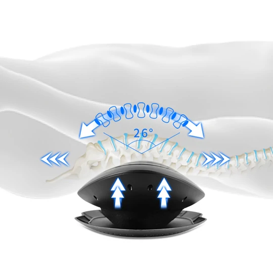 Electric Waist & Back Massager