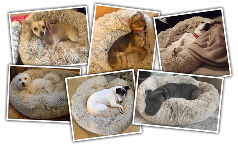 Comfortable Pet Bed