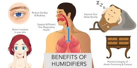 Portable H2O Air Humidifier