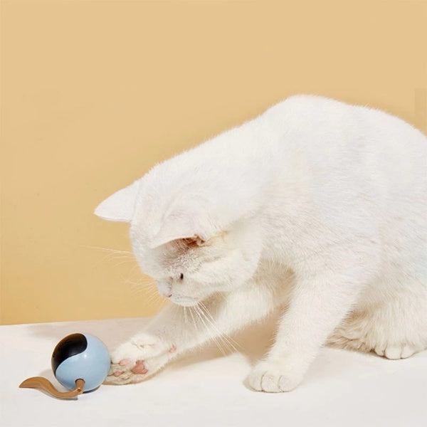 Smart Interactive Pet LED Self Rotating Ball