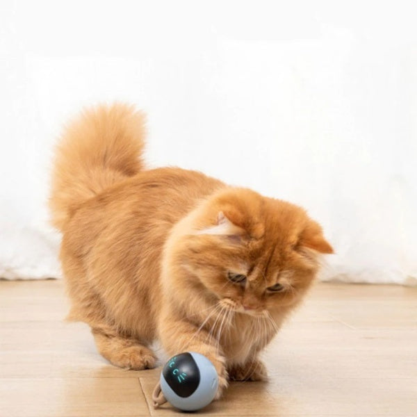 Smart Interactive Pet LED Self Rotating Ball