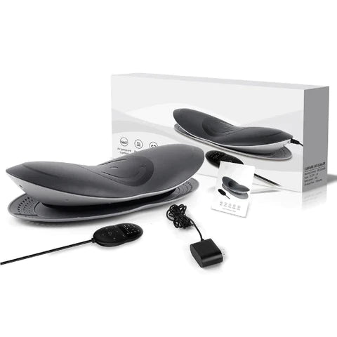 Electric Waist & Back Massager